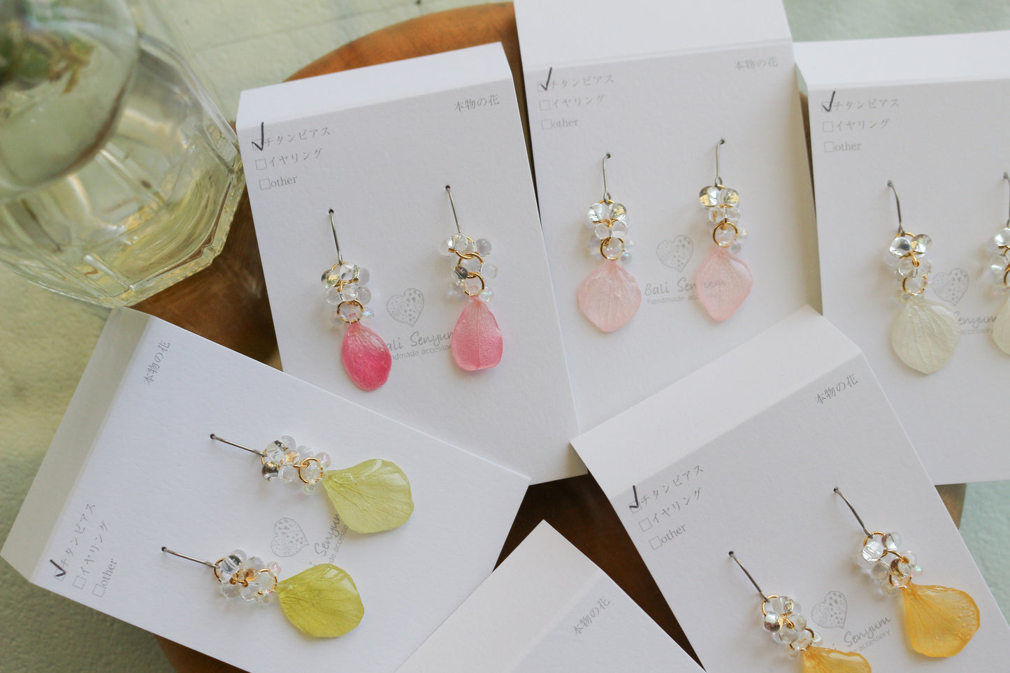 Hydrangea TSUBU - No.4