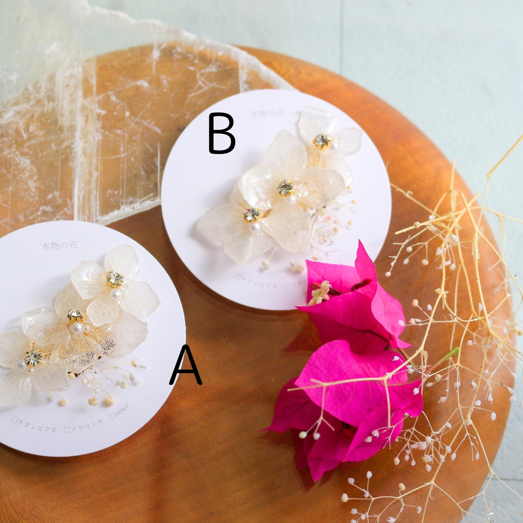 Hanayome 4 - Clip-on(イヤリング)No.1