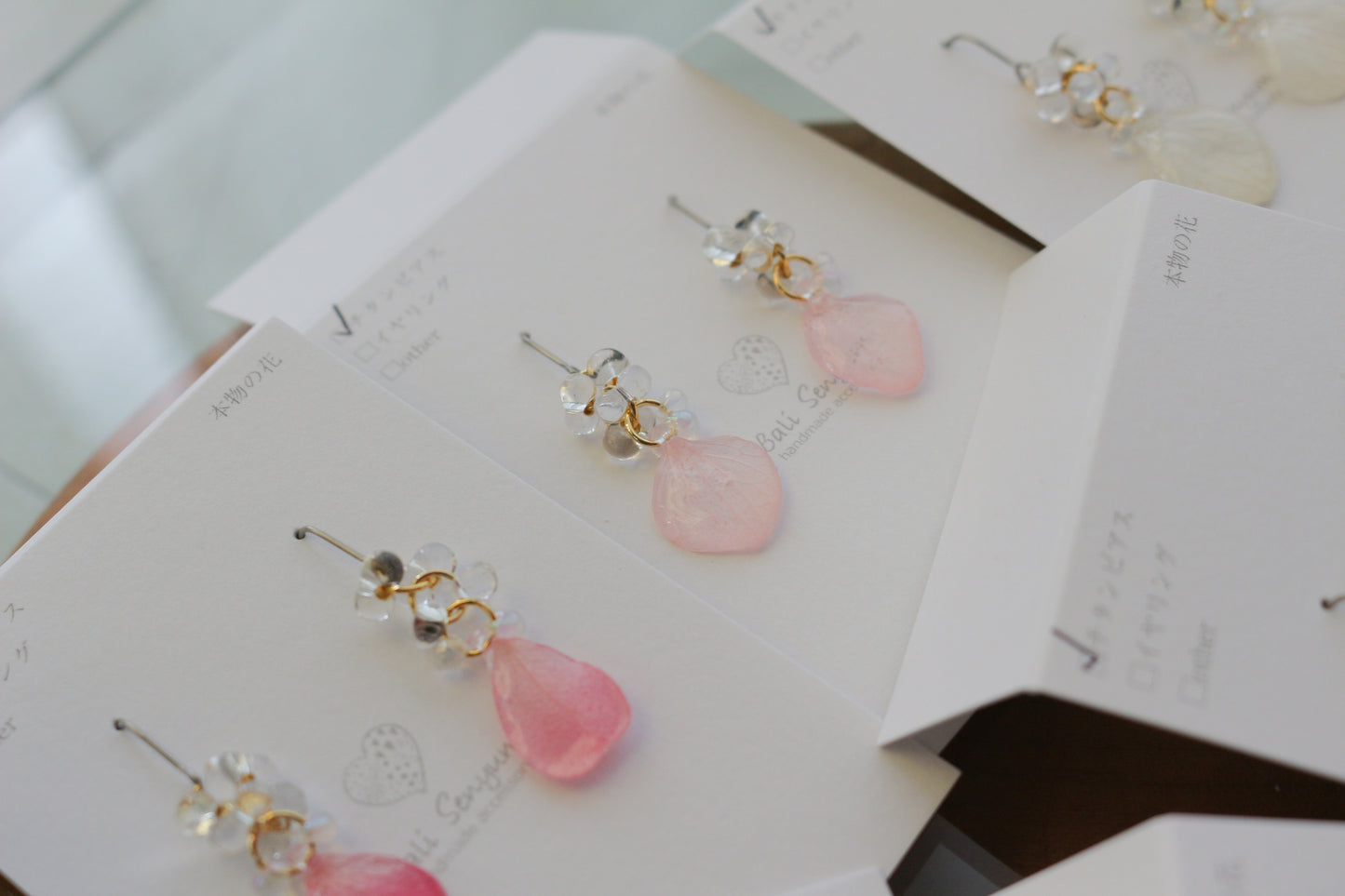 Hydrangea TSUBU - No.4