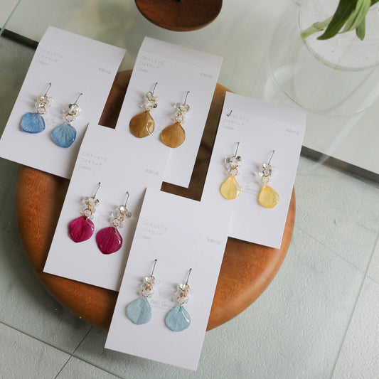 Hydrangea TSUBU  -  No.6