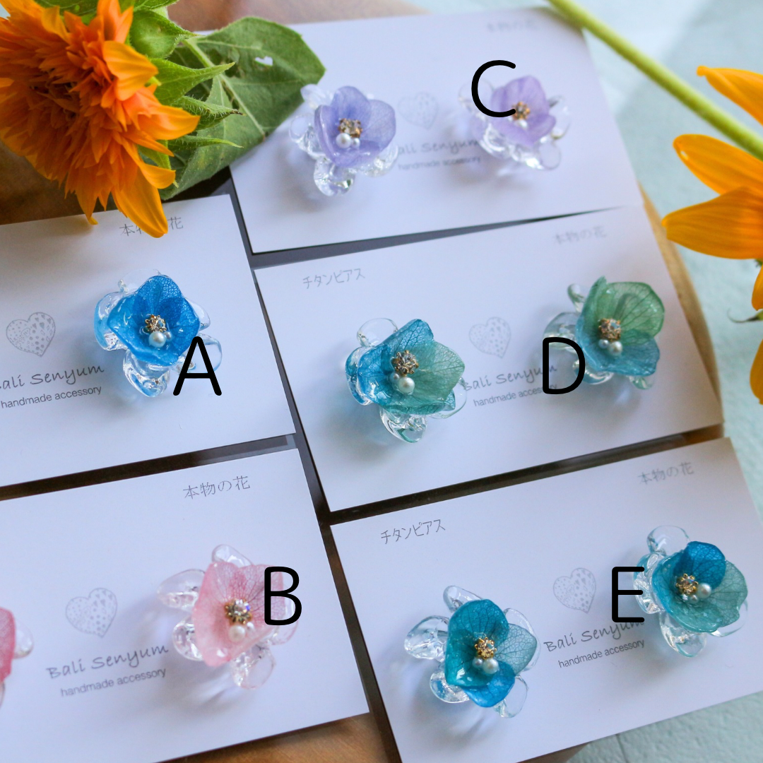 Clear Petals & Flower 2024 No.7