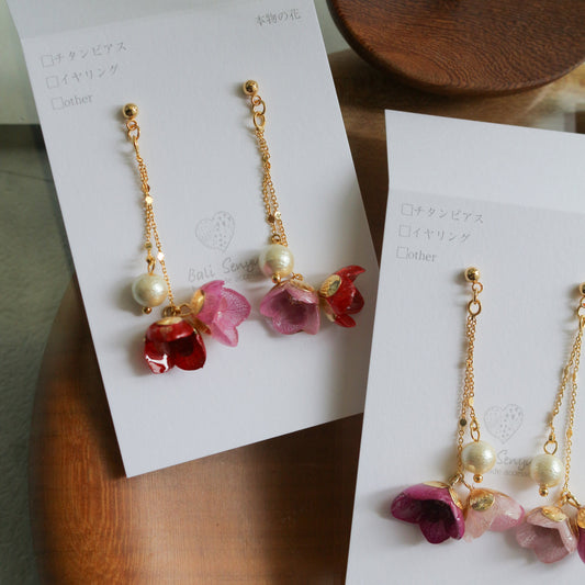 Colorful Flowing Hydrangea No.12