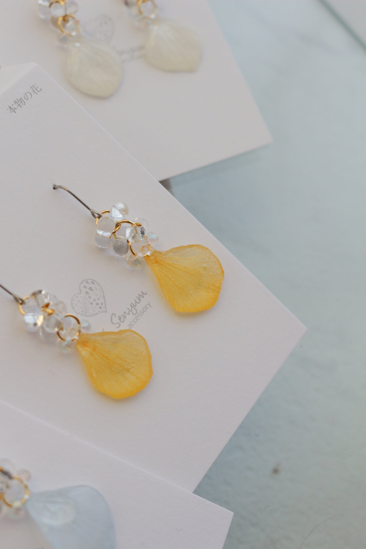 Hydrangea TSUBU - No.4