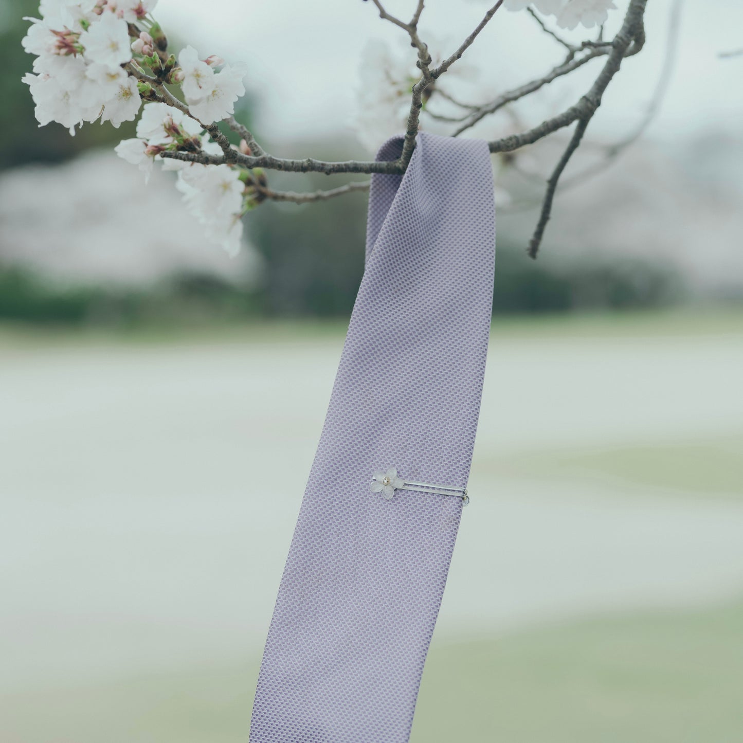Sakura Tie Pin 桜ネクタイピン