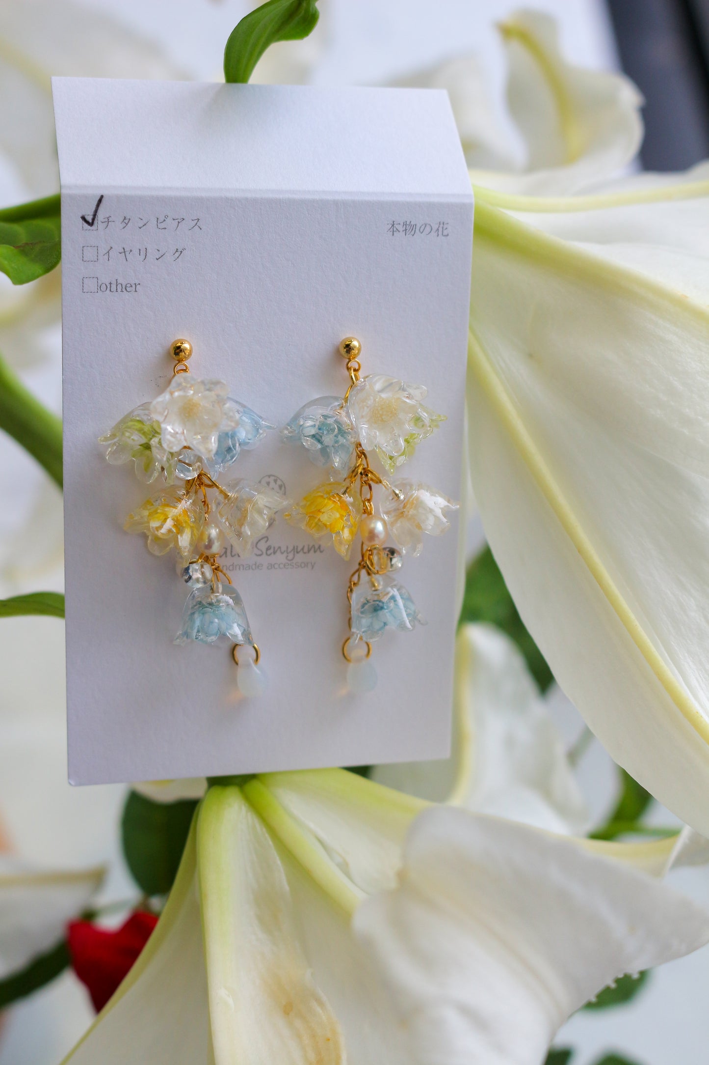 Clear Summer Earring Collection 2025 - No.1