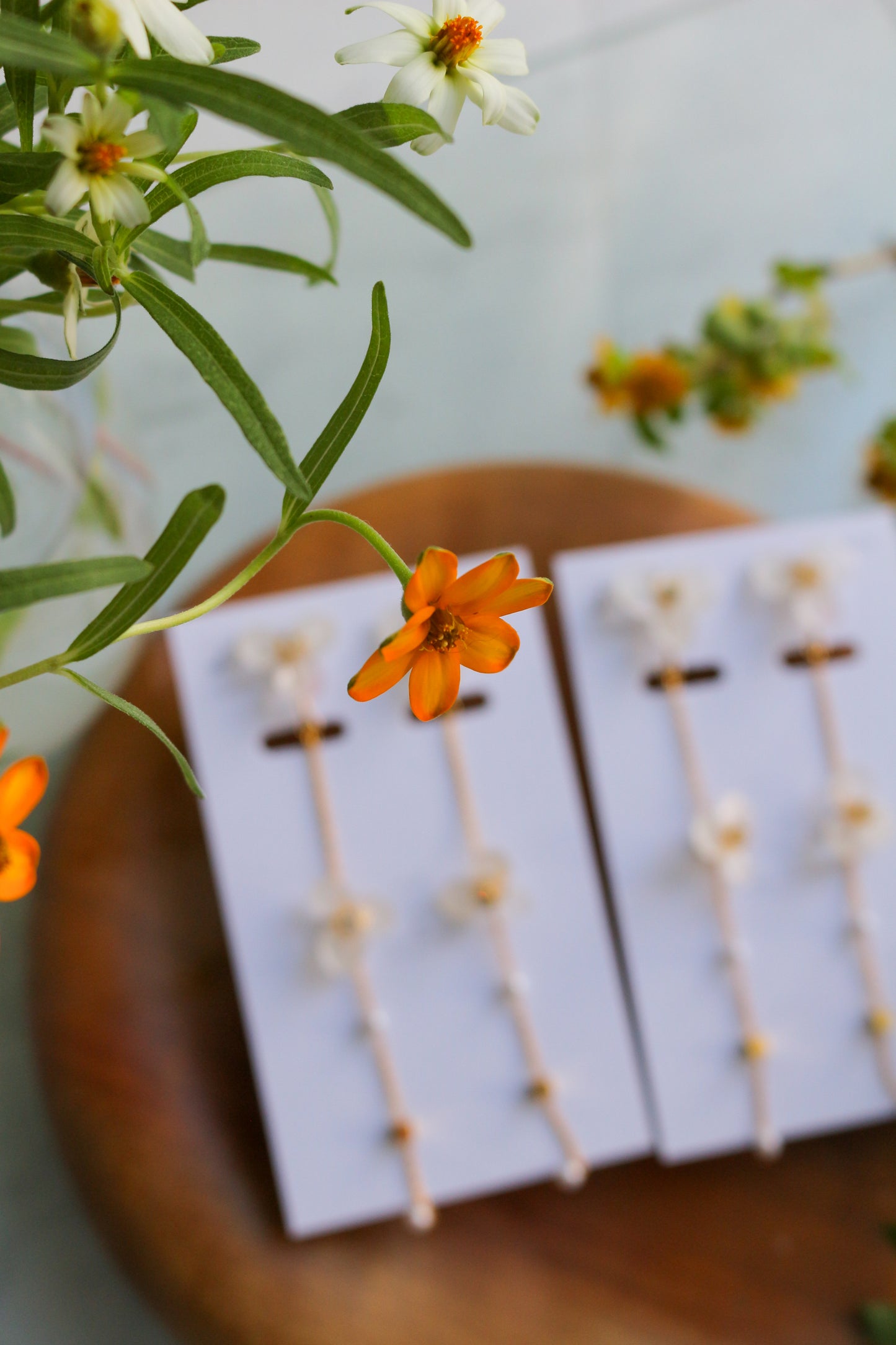 KOBANA series Flower Field - Clip-on(イヤリング)No.3