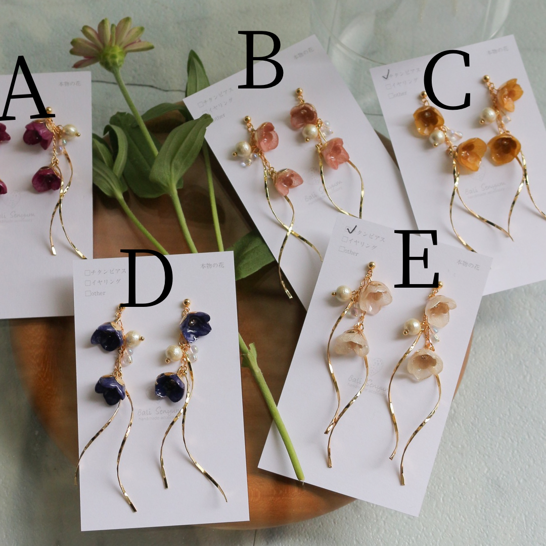 FUJI Collection - No.30