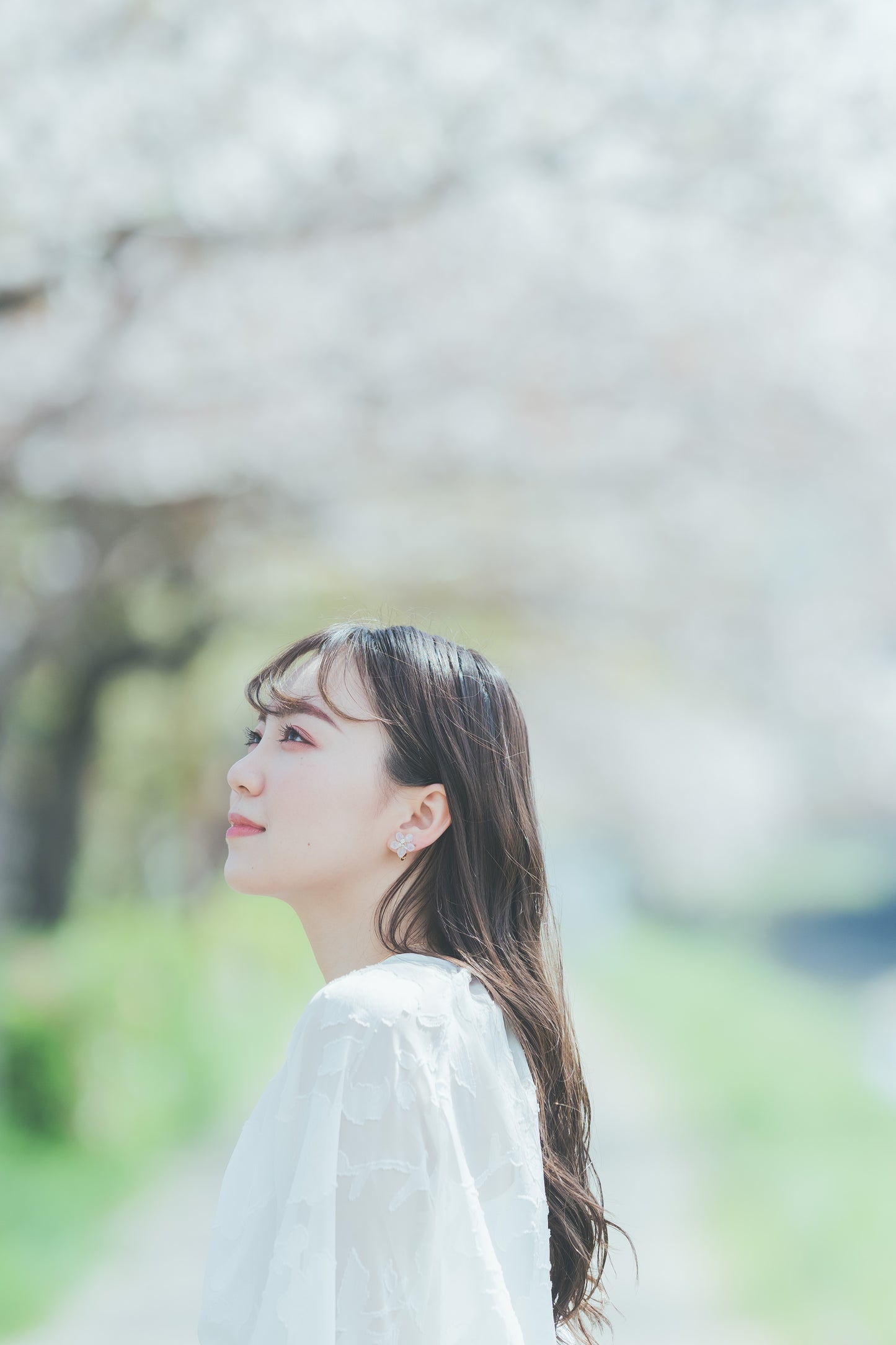 Someiyoshino Sakura Earrings - Small size 小サイズ