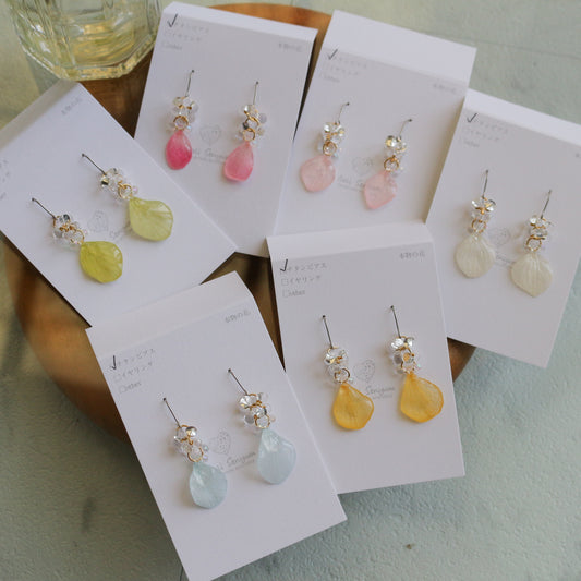 Hydrangea TSUBU -  No.4