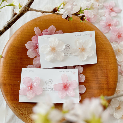 Natural Shape Someiyoshino Sakura Earrings #S004