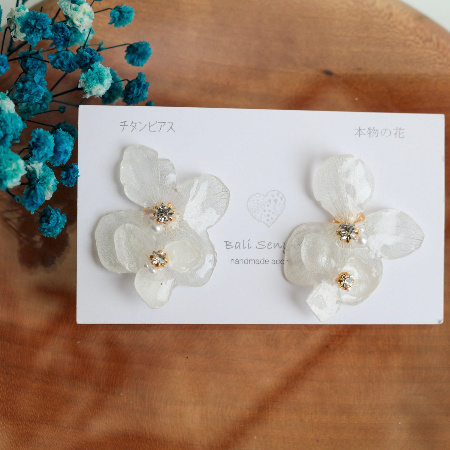 Limited Item Fes Earrings - チタンピアス Titanium Pierce  No.5〜8