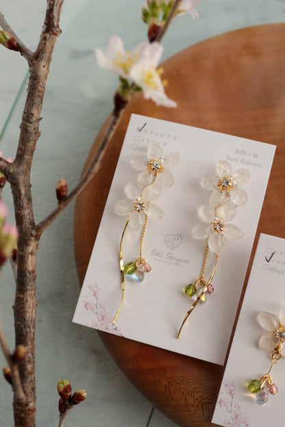 Real "Someiyoshino" Sakura Earring Kumamoto Homage- 緑桜の御衣黄   モチーフ