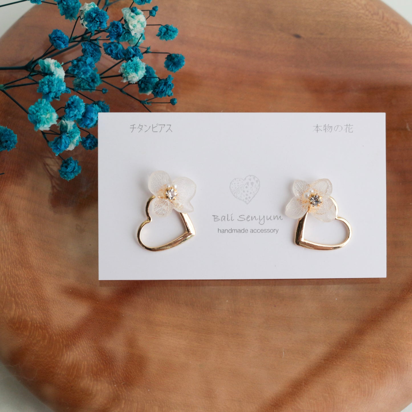 Limited Item Fes Earrings - チタンピアス Titanium Pierce  No.21〜24