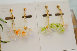 Clear Summer Collection 2 - Limited item No.1