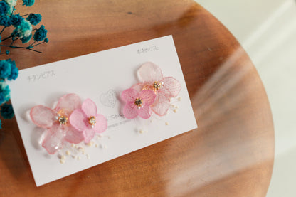 Limited Item Fes Earrings - チタンピアス Titanium Pierce  No.33〜36