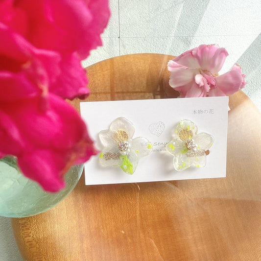 Limited Item Fes Earrings - Clip-On イヤリング No.29