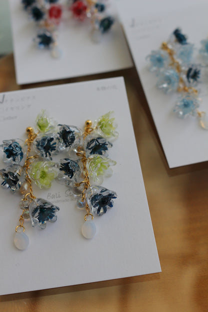 Clear Autumn Color Collection 2025 - No.4