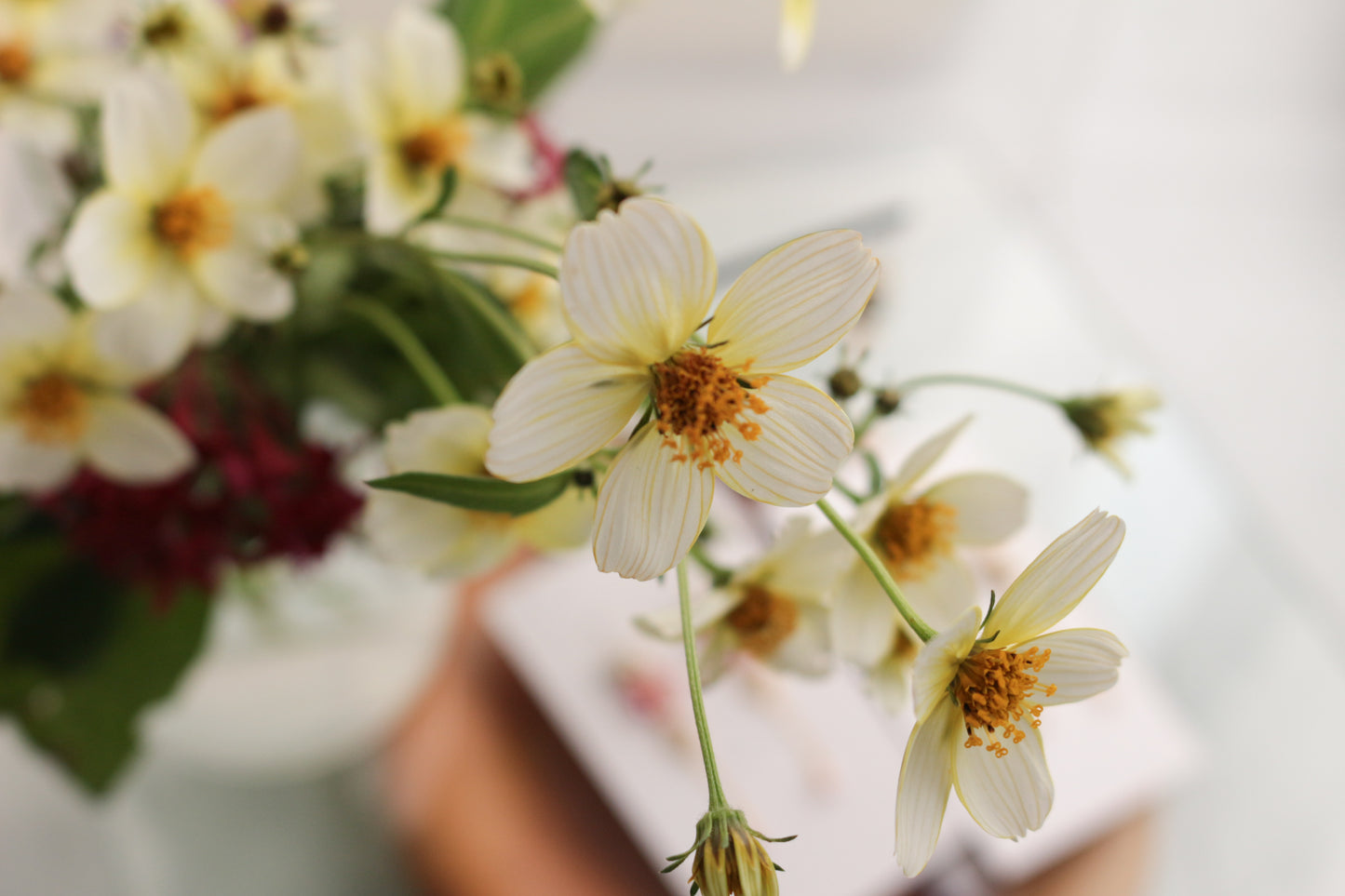 Flower Seventeen Earring No.1