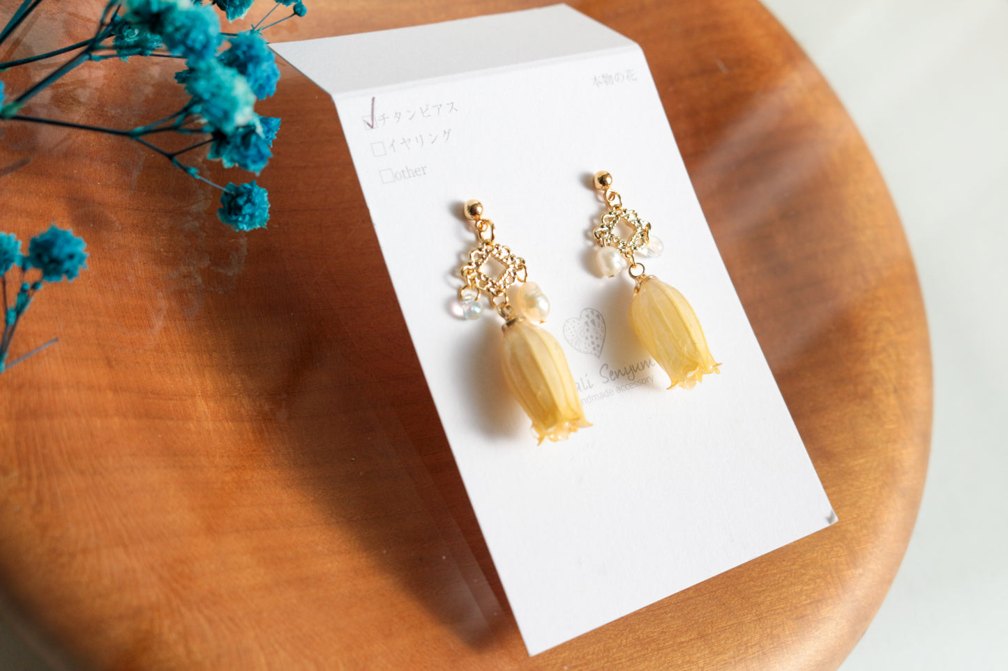 Limited Item Fes Earrings - チタンピアス Titanium Pierce  No.17〜20