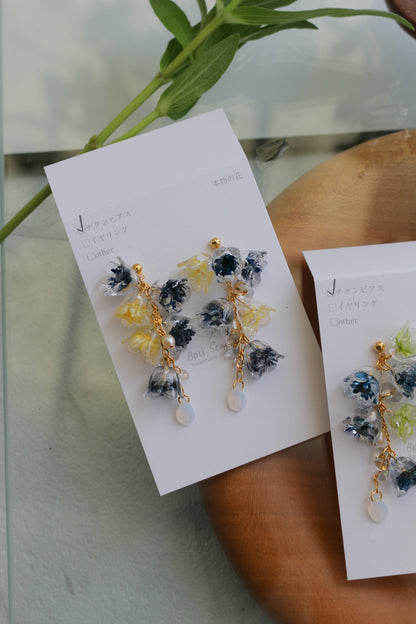 Clear Autumn Color Collection 2025 - No.4