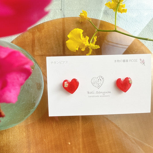 Limited Item Fes Earrings - Titanium Pierce チタンピアス No.36