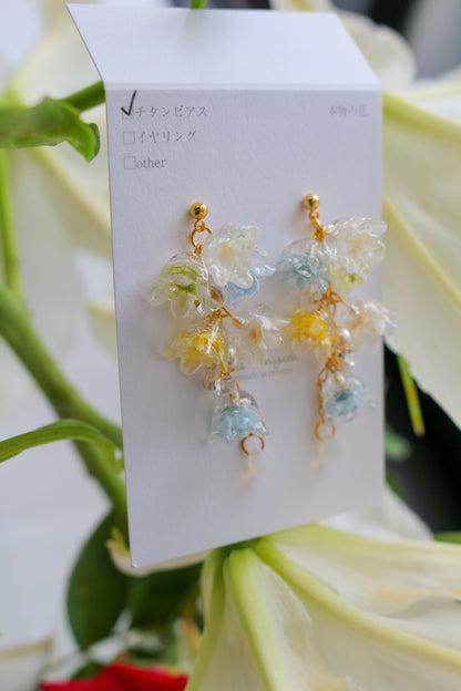 Clear Summer Earring Collection 2025 - No.1