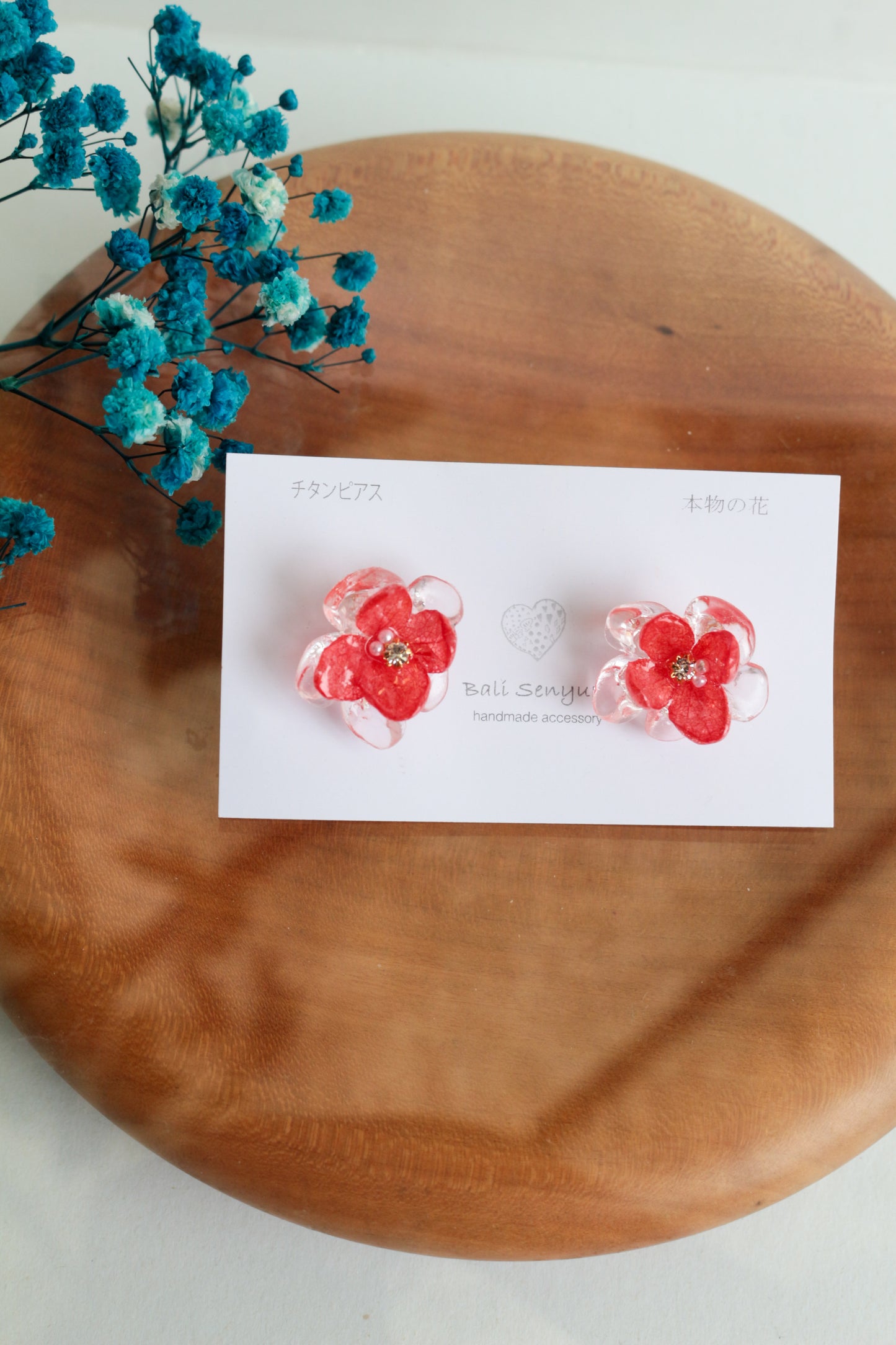 Limited Item Fes Earrings - チタンピアス Titanium Pierce  No.9〜12