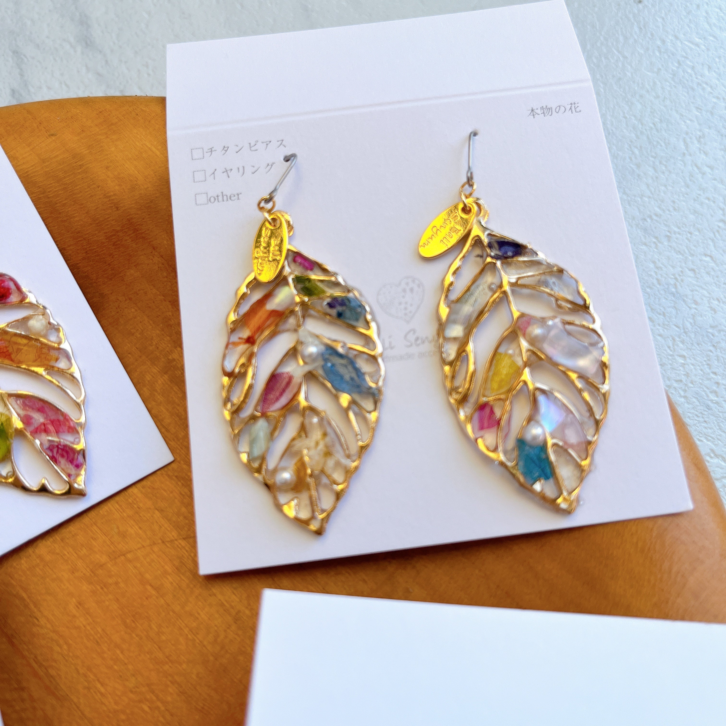 165 ブローチシリーズカラフルなオウムさん ピアスorイヤリング 165