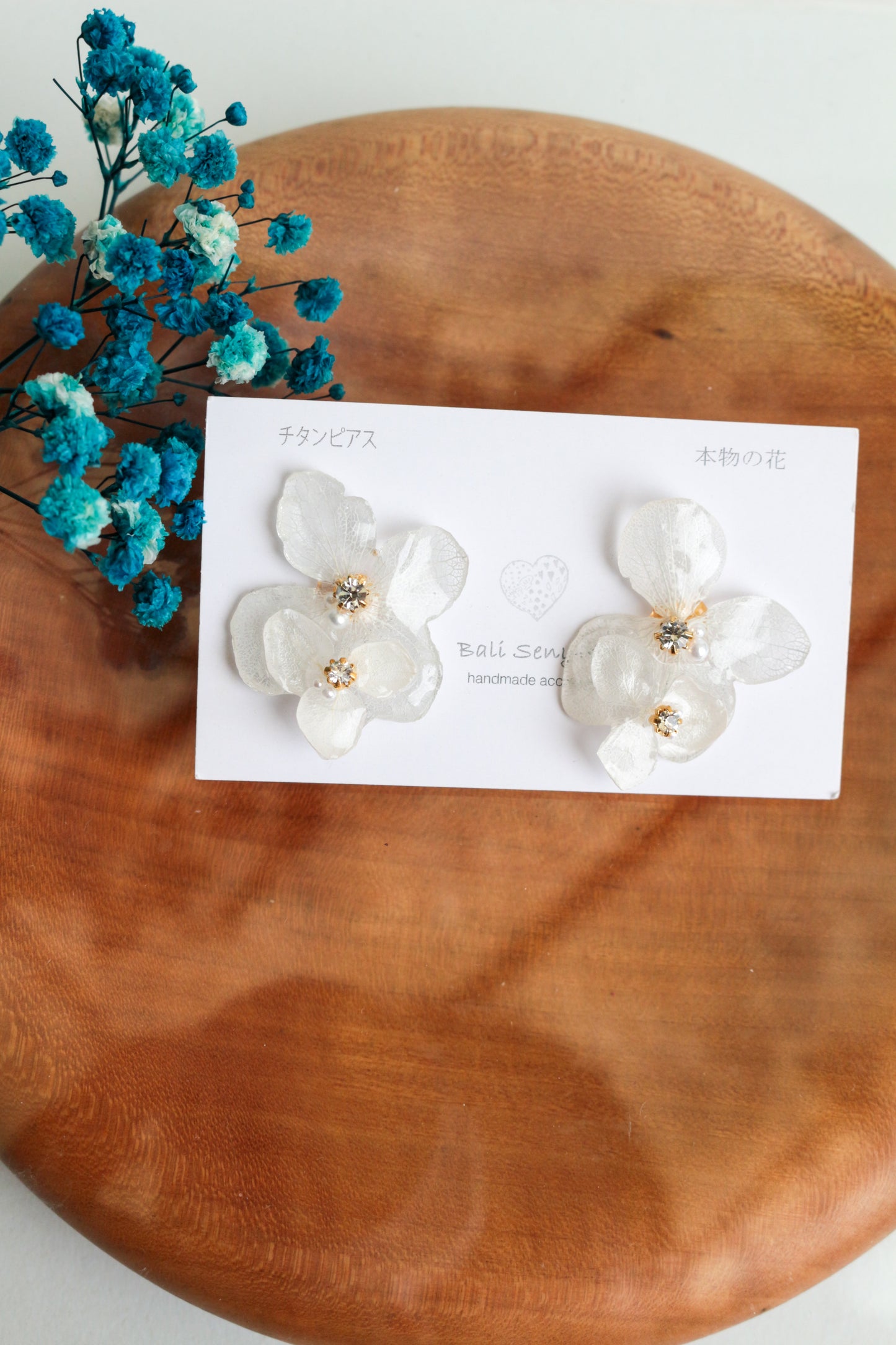 Limited Item Fes Earrings - チタンピアス Titanium Pierce  No.5〜8