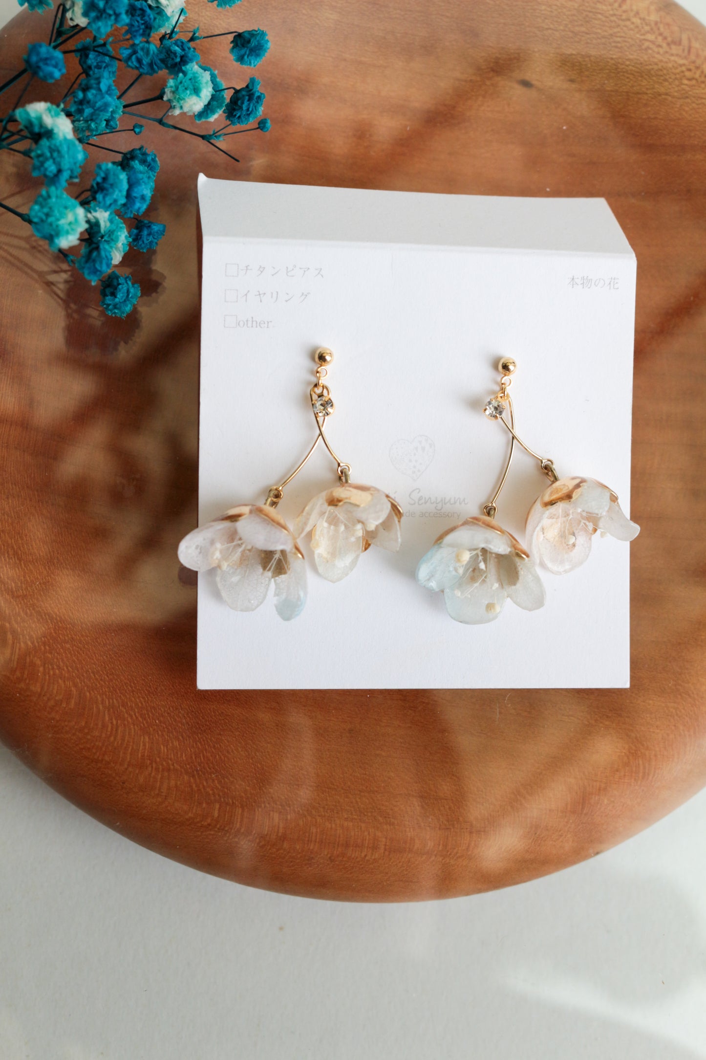 Limited Item Fes Earrings - チタンピアス Titanium Pierce  No.5〜8