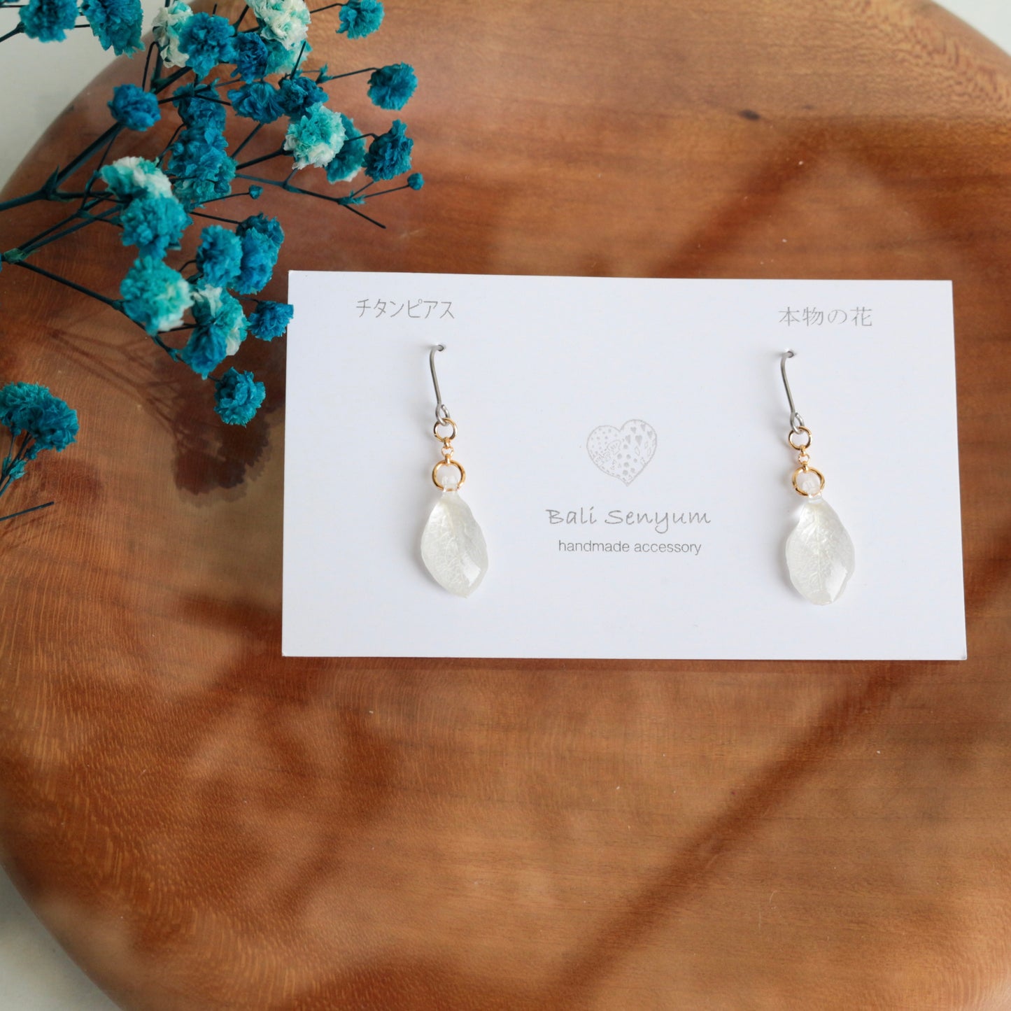 Limited Item Fes Earrings - チタンピアス Titanium Pierce  No.9〜12