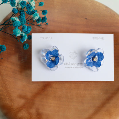 Limited Item Fes Earrings - チタンピアス Titanium Pierce  No.13〜16