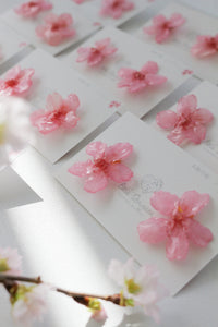 Natural Shape Someiyoshino Sakura Earrings #S004