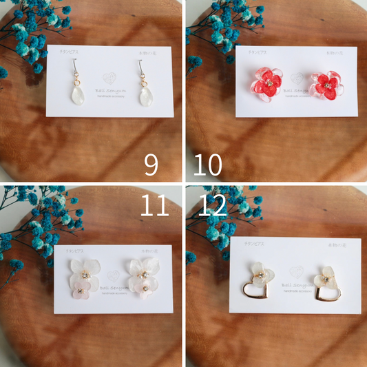 Limited Item Fes Earrings - チタンピアス Titanium Pierce  No.9〜12