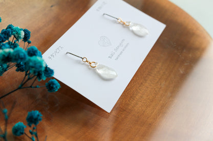 Limited Item Fes Earrings - チタンピアス Titanium Pierce  No.9〜12