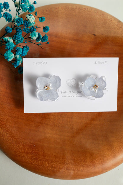 Limited Item Fes Earrings - チタンピアス Titanium Pierce  No.1〜4