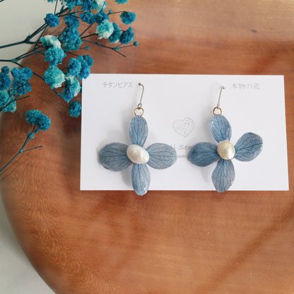 Limited Item Fes Earrings - チタンピアス Titanium Pierce  No.33〜36