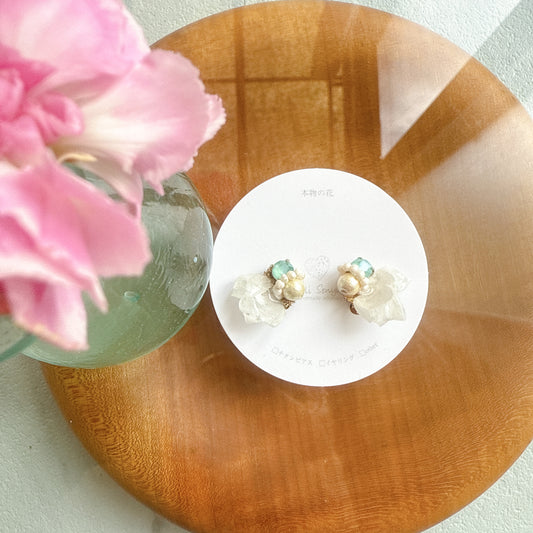Limited Item Fes Earrings - Clip-On イヤリング No.5