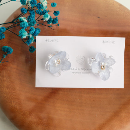 Limited Item Fes Earrings - チタンピアス Titanium Pierce  No.25〜28