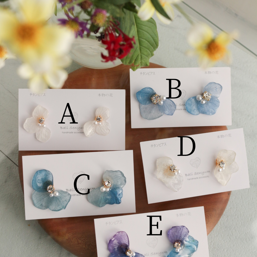 Hydrangea Wing No.138- Titanium Pierce(ピアス）