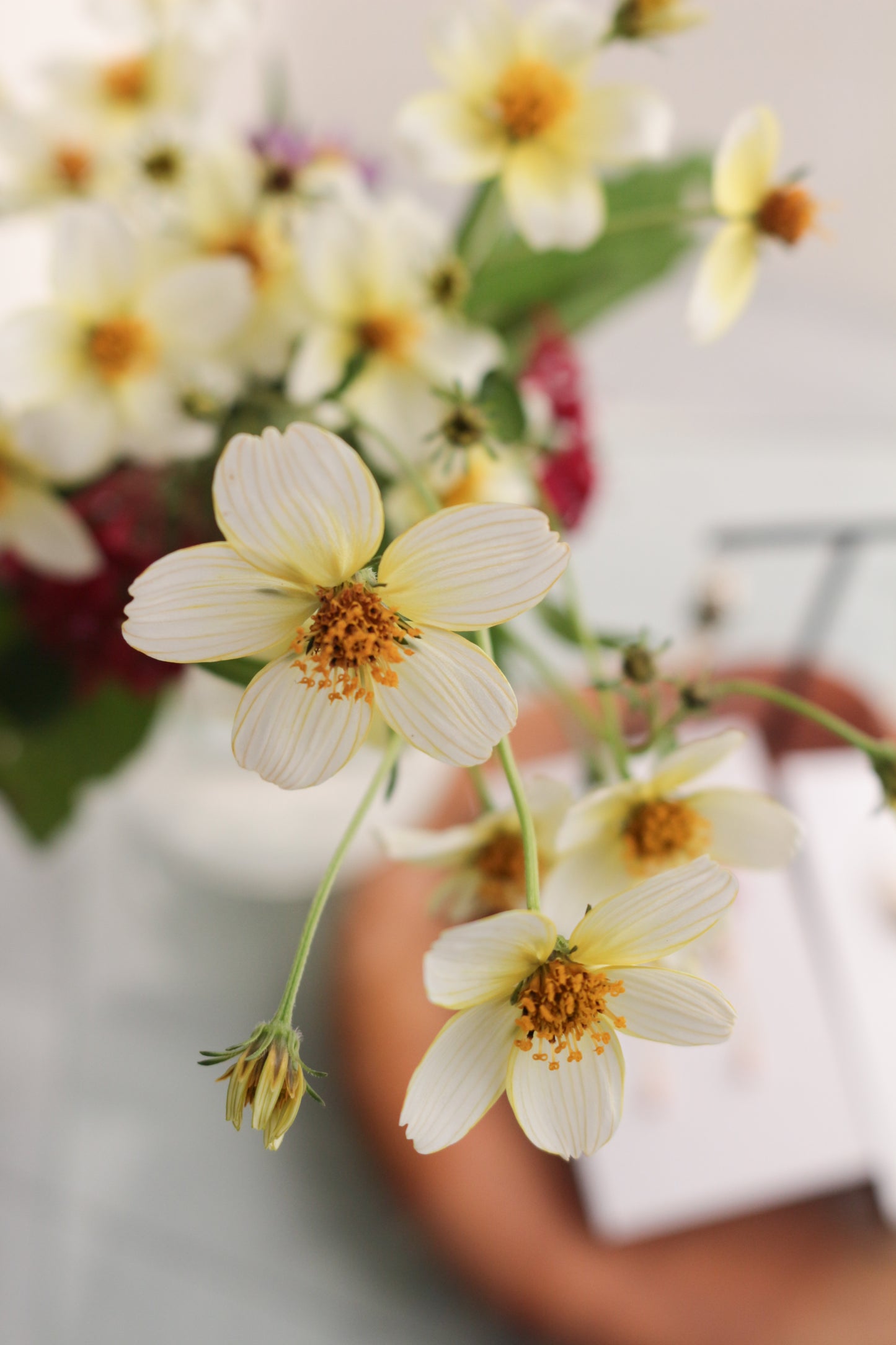 Flower Seventeen Earring No.1