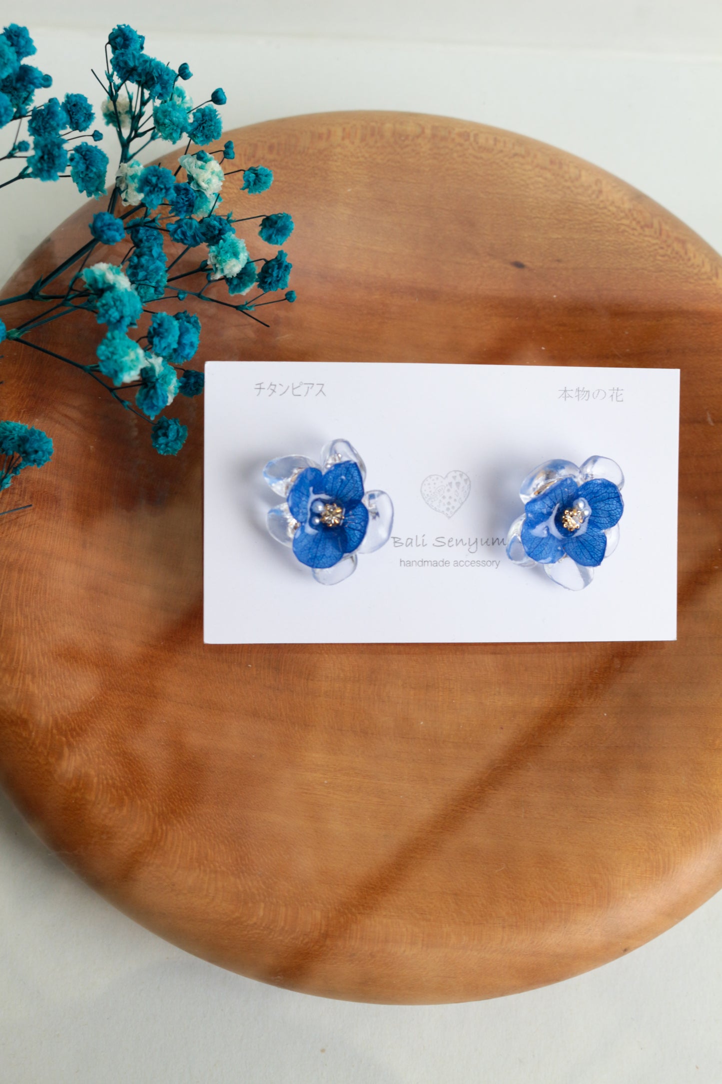 Limited Item Fes Earrings - チタンピアス Titanium Pierce  No.13〜16