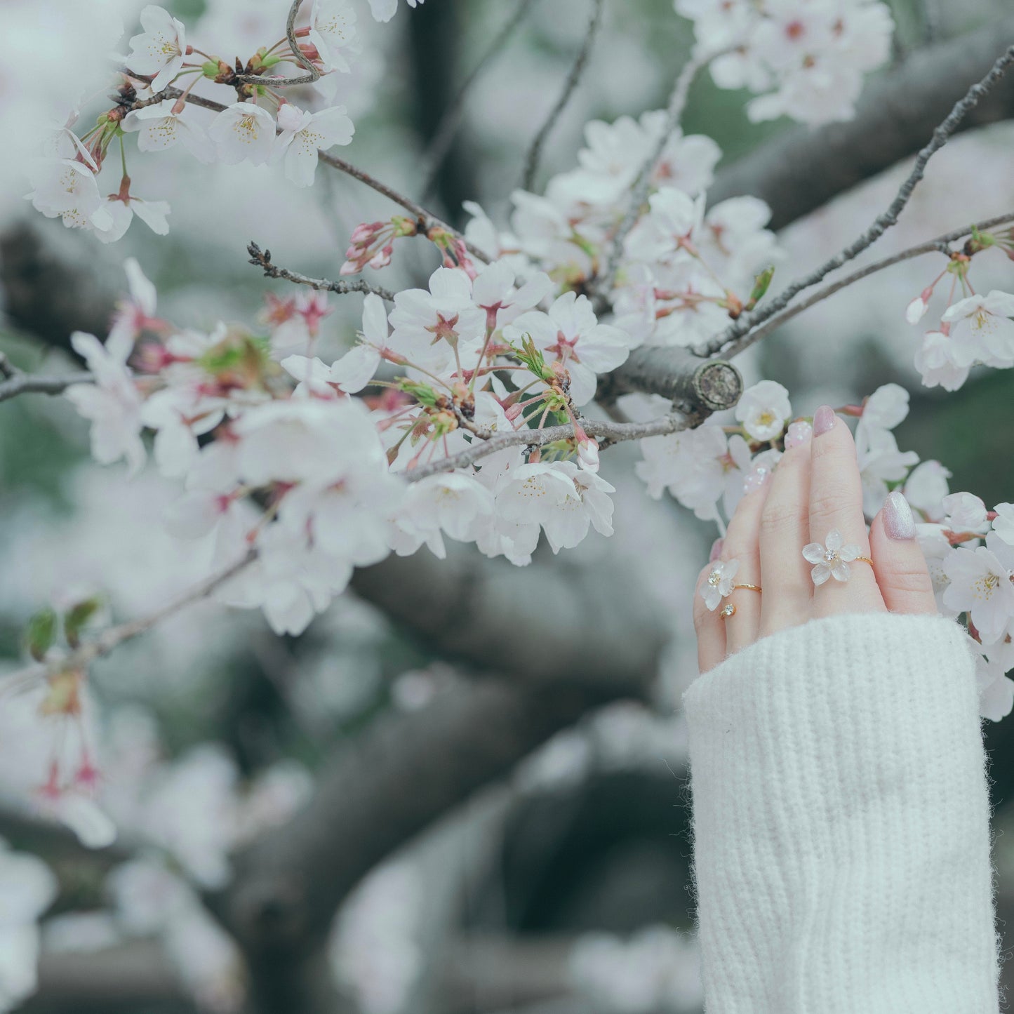 Someiyoshino Sakura Ring with Three Gems NEW #S053