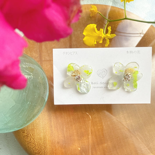 Limited Item Fes Earrings - Titanium Pierce チタンピアス No.32