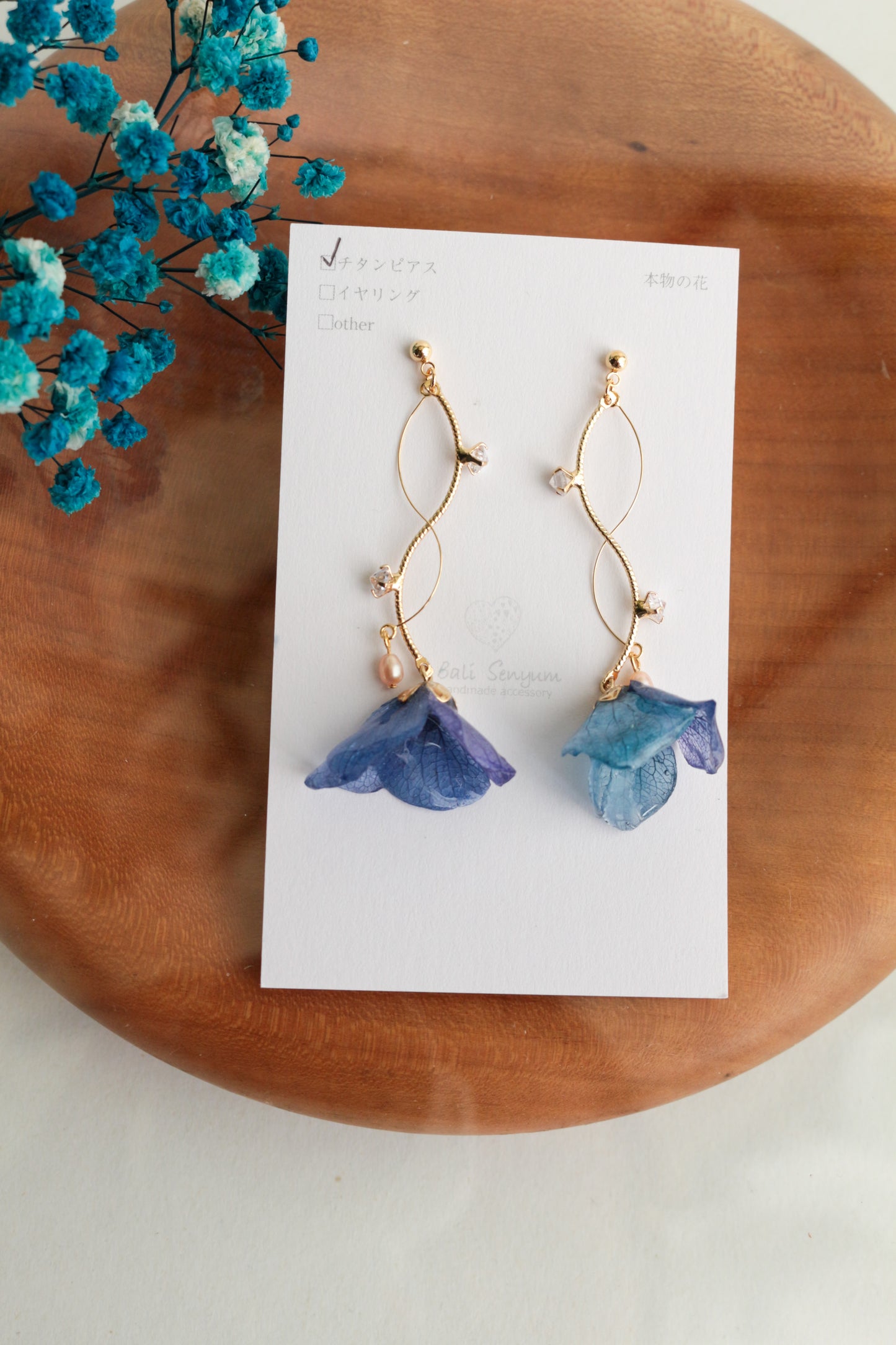 Limited Item Fes Earrings - チタンピアス Titanium Pierce  No.21〜24