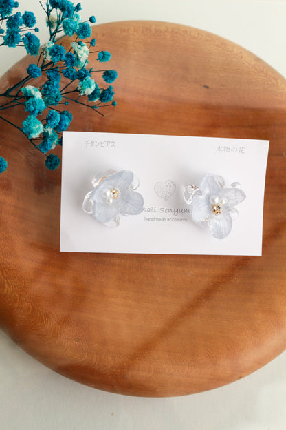 Limited Item Fes Earrings - チタンピアス Titanium Pierce  No.25〜28