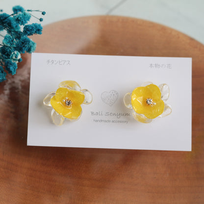 Limited Item Fes Earrings - チタンピアス Titanium Pierce  No.41〜44