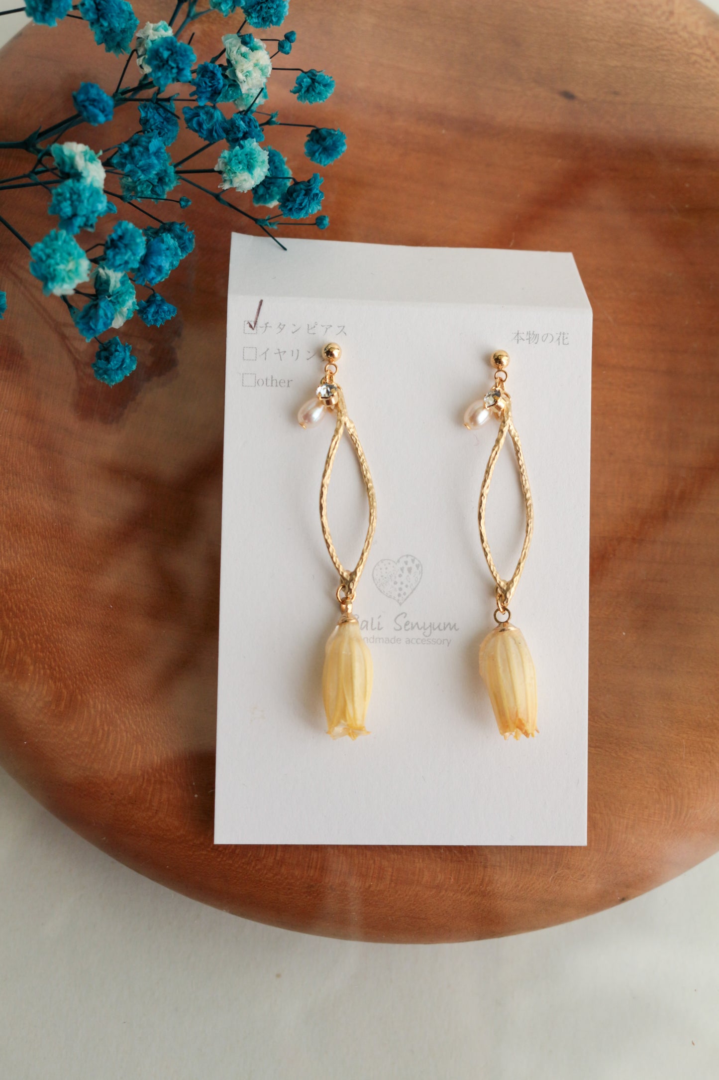 Limited Item Fes Earrings - チタンピアス Titanium Pierce  No.21〜24