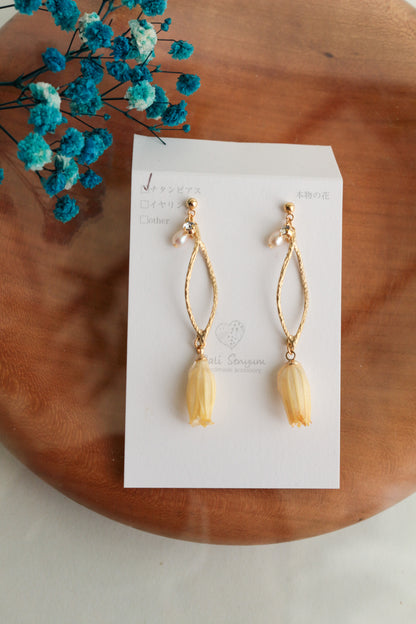 Limited Item Fes Earrings - チタンピアス Titanium Pierce  No.21〜24