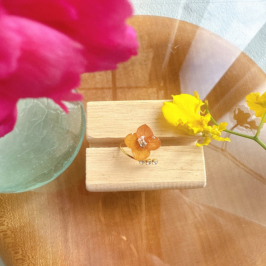 Limited Item Fes Earrings - Ring リング No.1